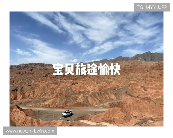 二婶儿带着孩子去沈阳途中玩游戏机的趣事与旅途心情分享